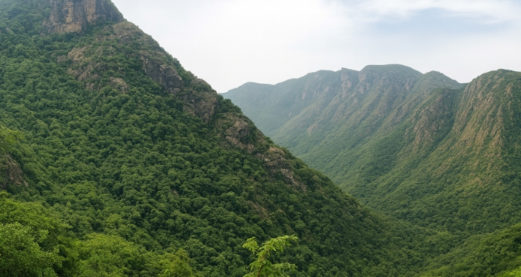 4. Go Trekking at Velliangiri Hills : The Kailash of the South