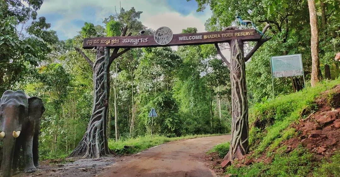 4.Bhadra Wildlife Sanctuary – For Nature and Wildlife Lovers
